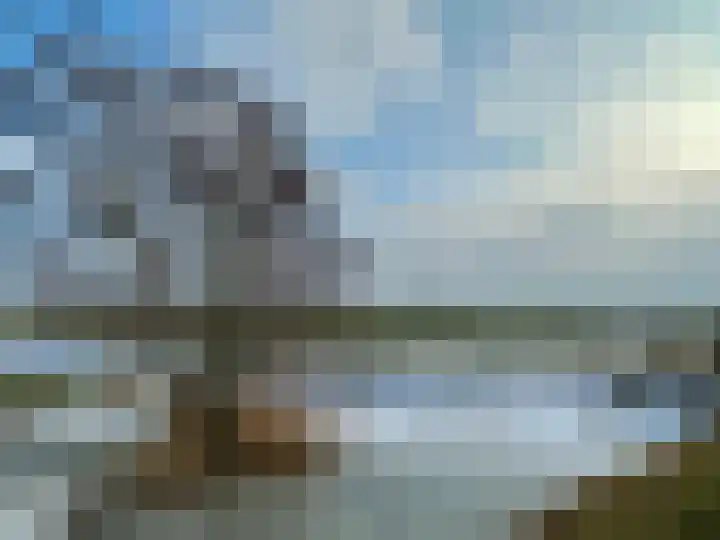 Wierhuizerweg 2 Appingedam thumbnail 48