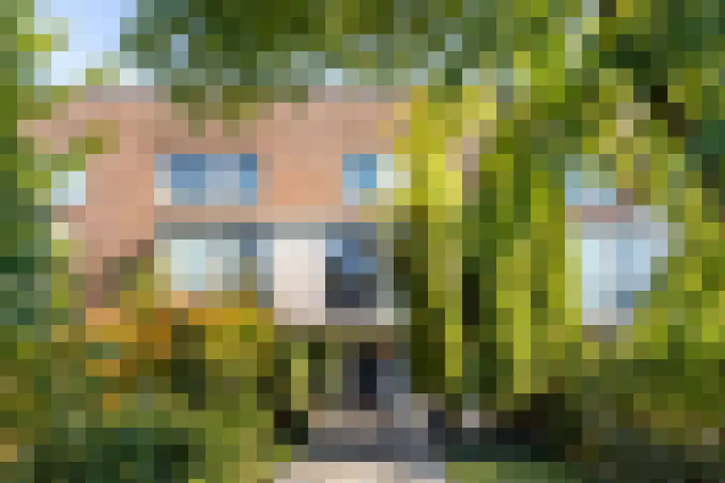 Wiericke 16 De Meern