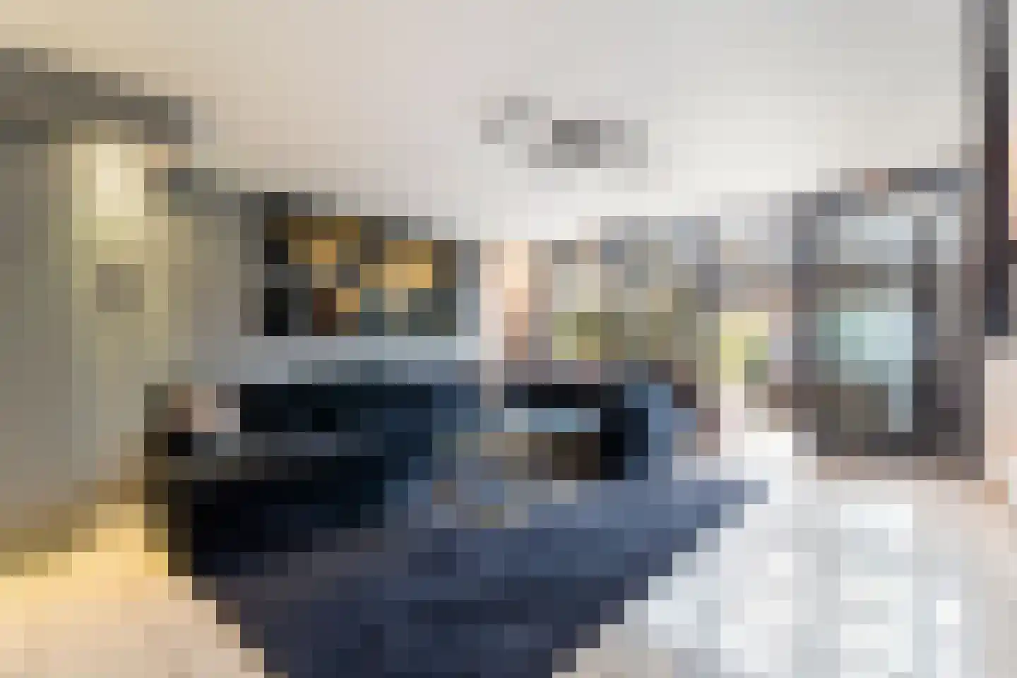 Wiericke 16 De Meern thumbnail 12