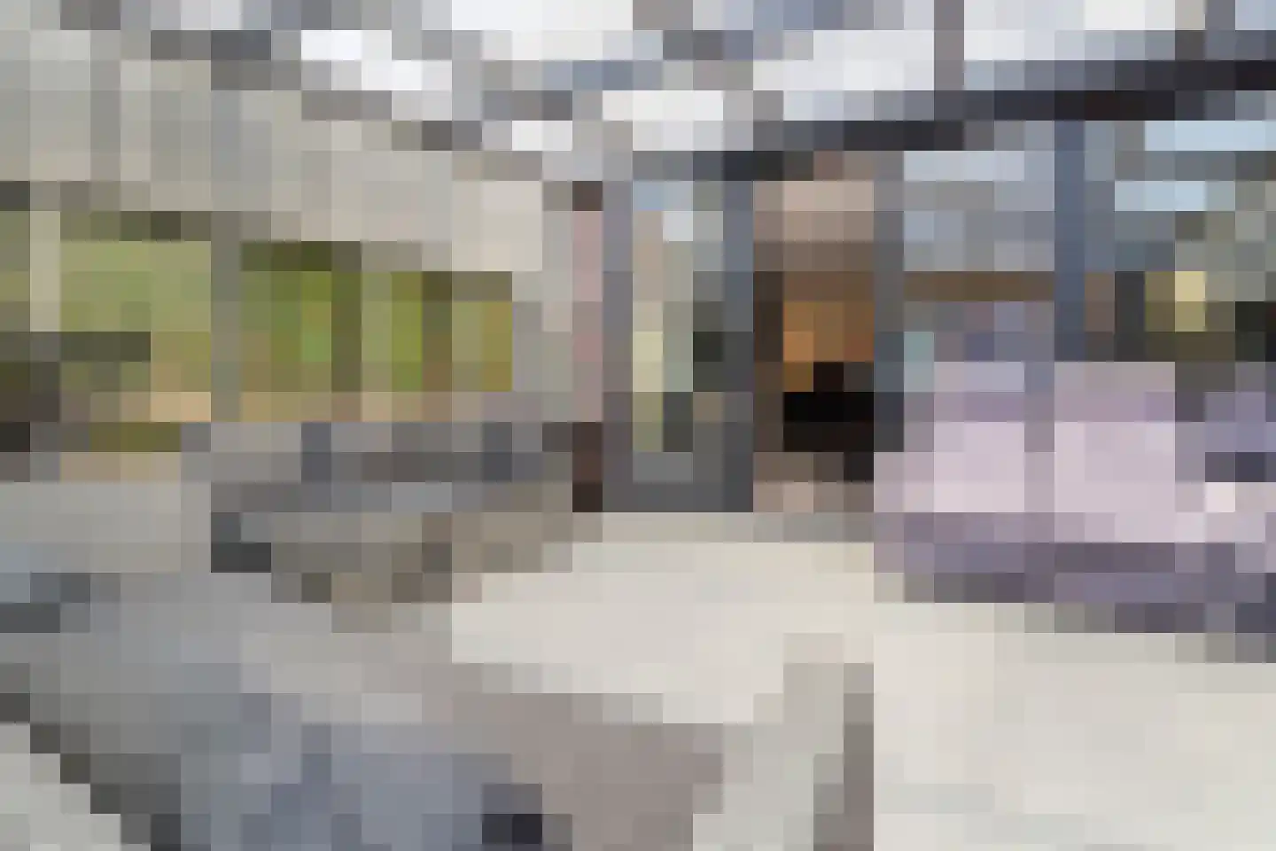 Wiericke 16 De Meern thumbnail 15