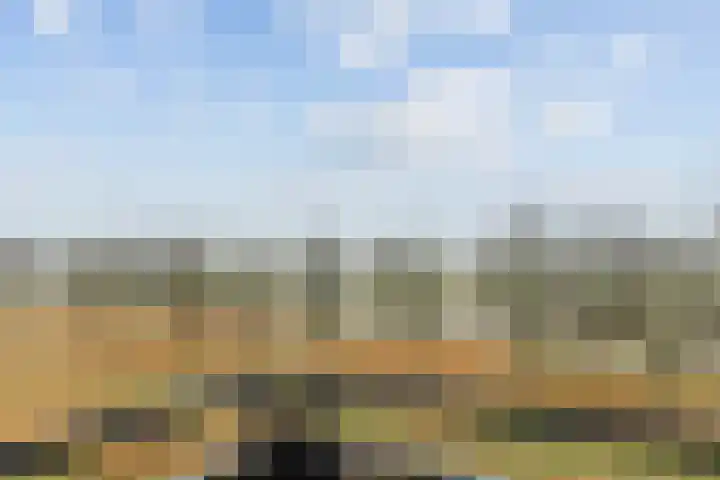 Wiericke 19 De Meern thumbnail 13