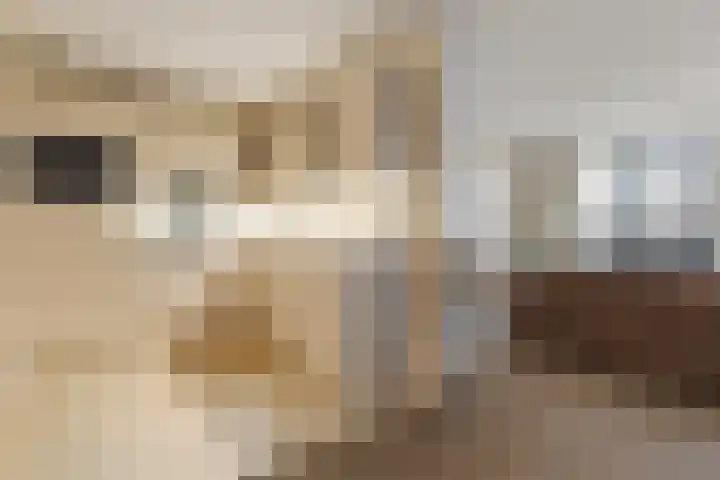 Wiericke 19 De Meern thumbnail 17