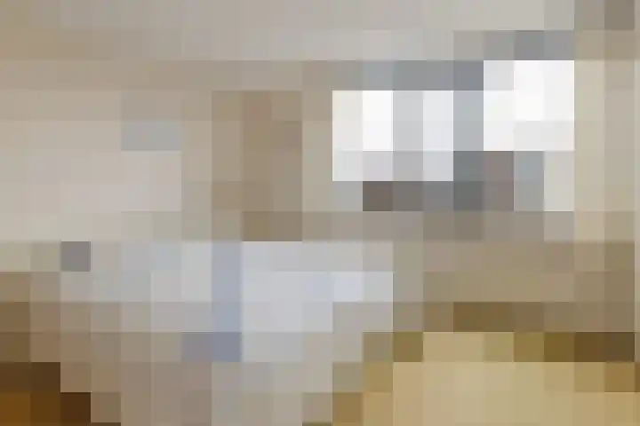 Wiericke 19 De Meern thumbnail 20