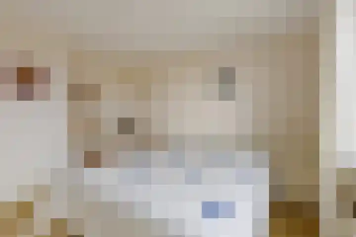 Wiericke 19 De Meern thumbnail 21