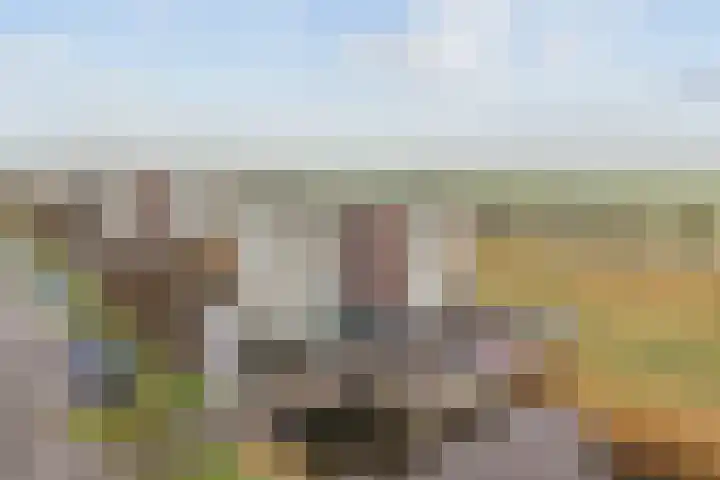 Wiericke 19 De Meern thumbnail 25