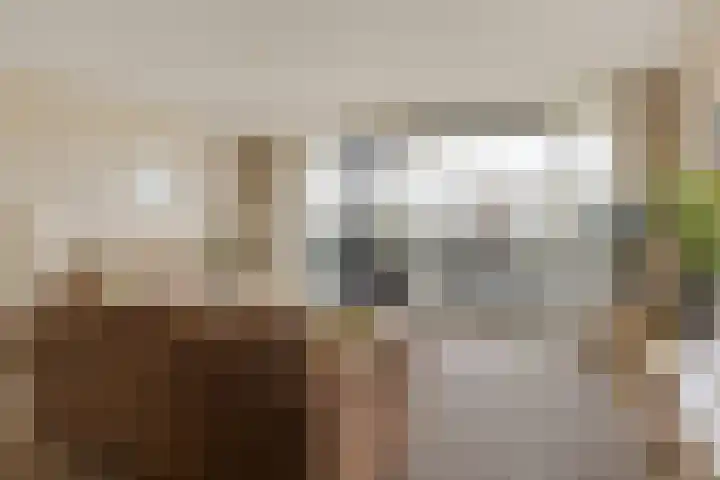 Wiericke 19 De Meern thumbnail 7