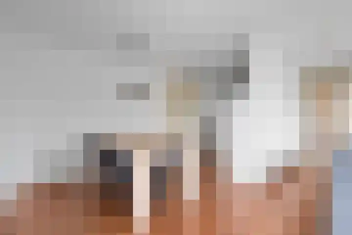 Wiericke 37 De Meern thumbnail 23