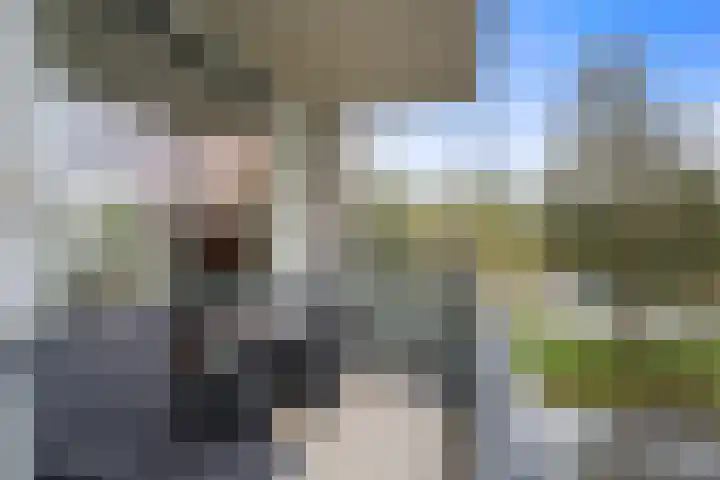 Wiericke 37 De Meern thumbnail 31