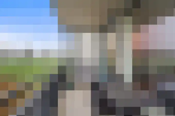 Wiericke 37 De Meern thumbnail 32