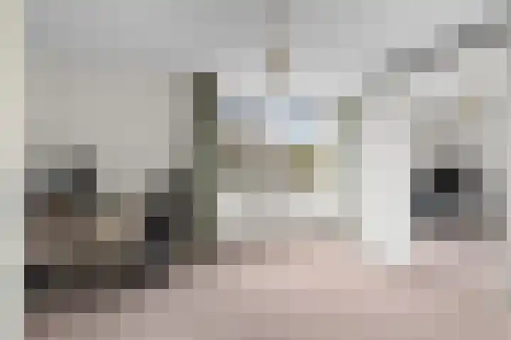 Wiericke 37 De Meern thumbnail 38