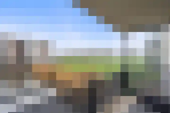 Wiericke 37 De Meern thumbnail 4