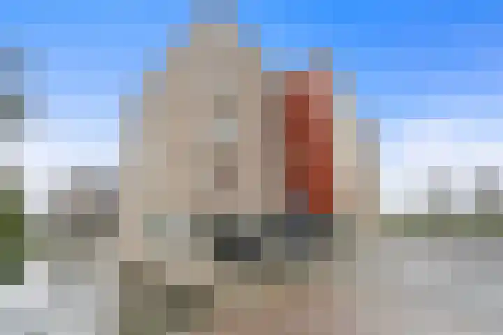 Wiericke 37 De Meern thumbnail 8