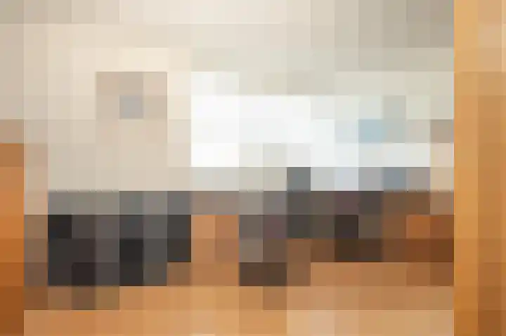 Wiericke 55 De Meern thumbnail 16
