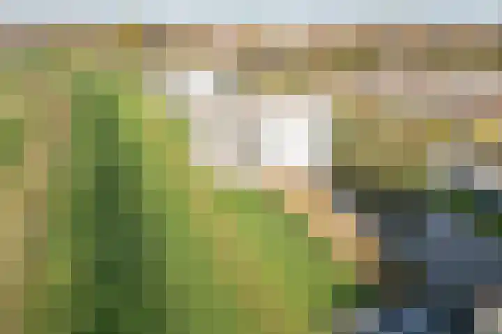 Wiericke 55 De Meern thumbnail 29