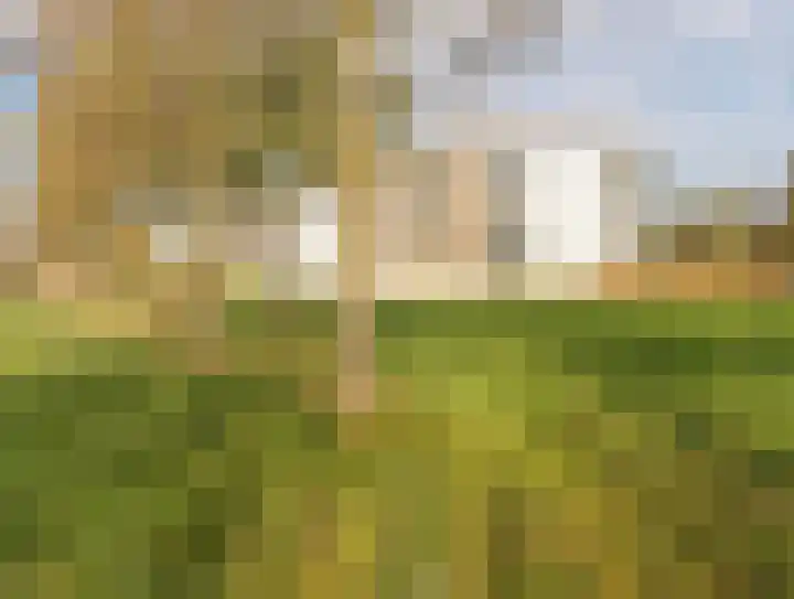 Wiericke 55 De Meern thumbnail 30