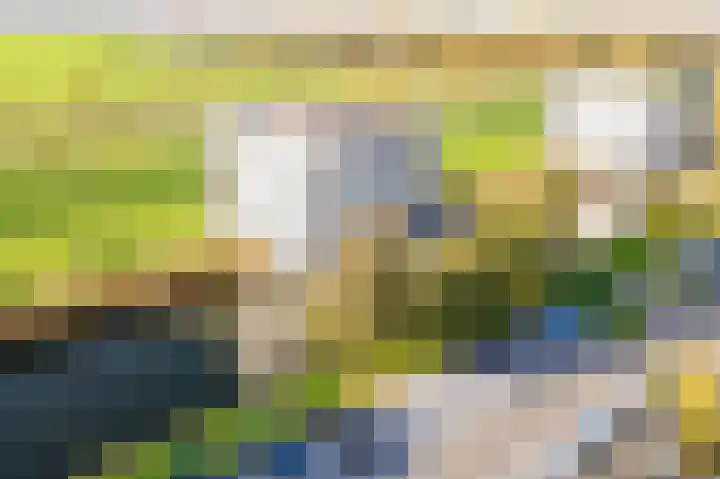 Wiericke 55 De Meern thumbnail 31