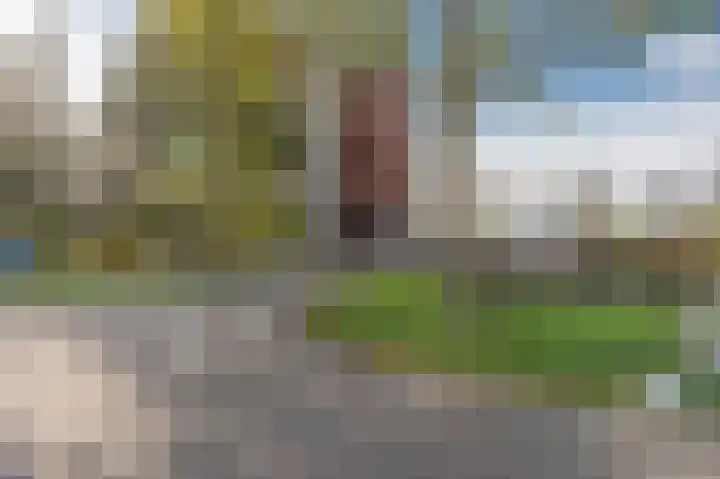 Wiericke 55 De Meern thumbnail 32
