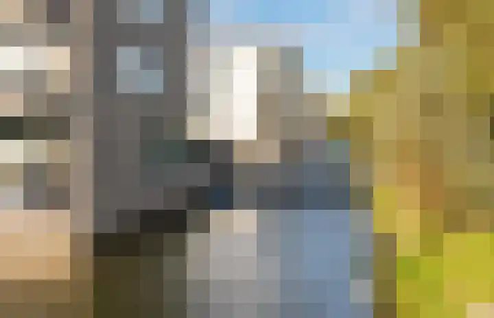 Wiericke 55 De Meern thumbnail 34