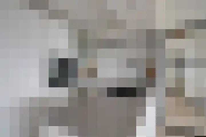 Wiericke 75 De Meern thumbnail 20