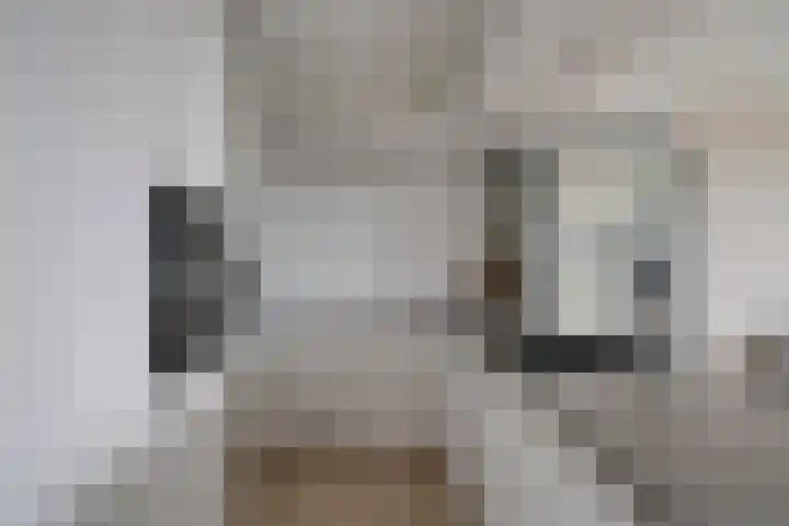 Wiericke 75 De Meern thumbnail 21