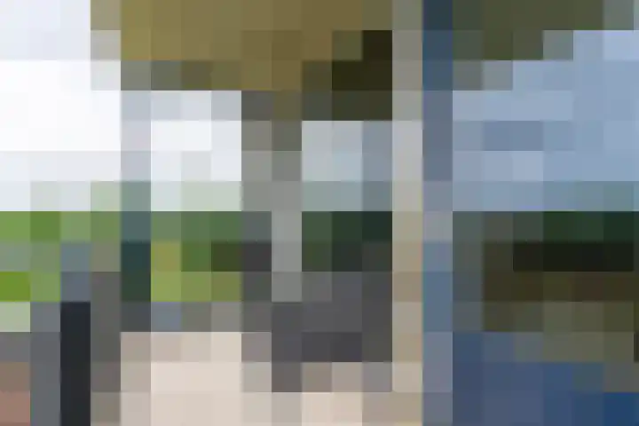 Wiericke 75 De Meern thumbnail 25