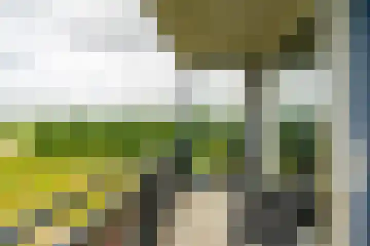 Wiericke 75 De Meern thumbnail 26