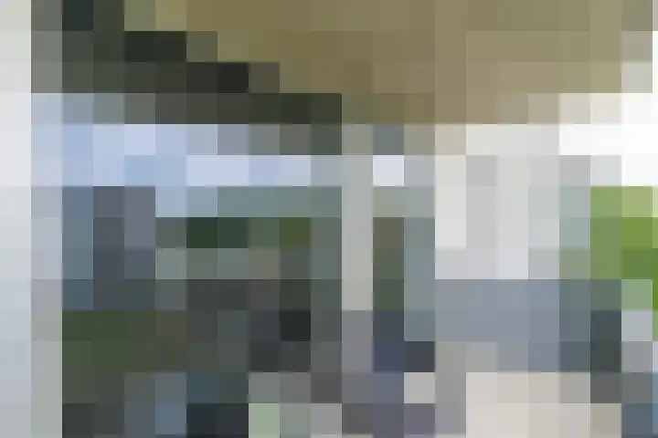 Wiericke 75 De Meern thumbnail 27