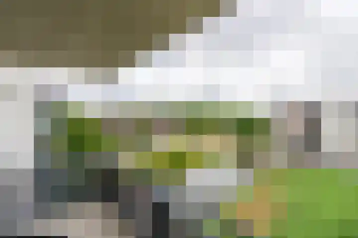 Wiericke 75 De Meern thumbnail 28
