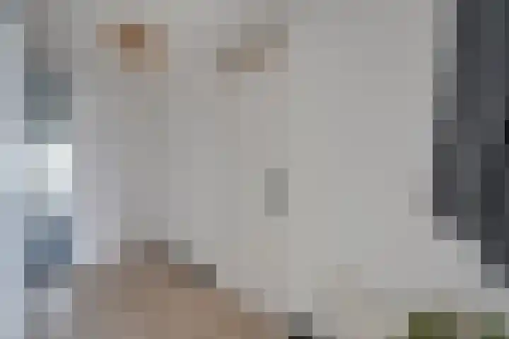Wiericke 75 De Meern thumbnail 34