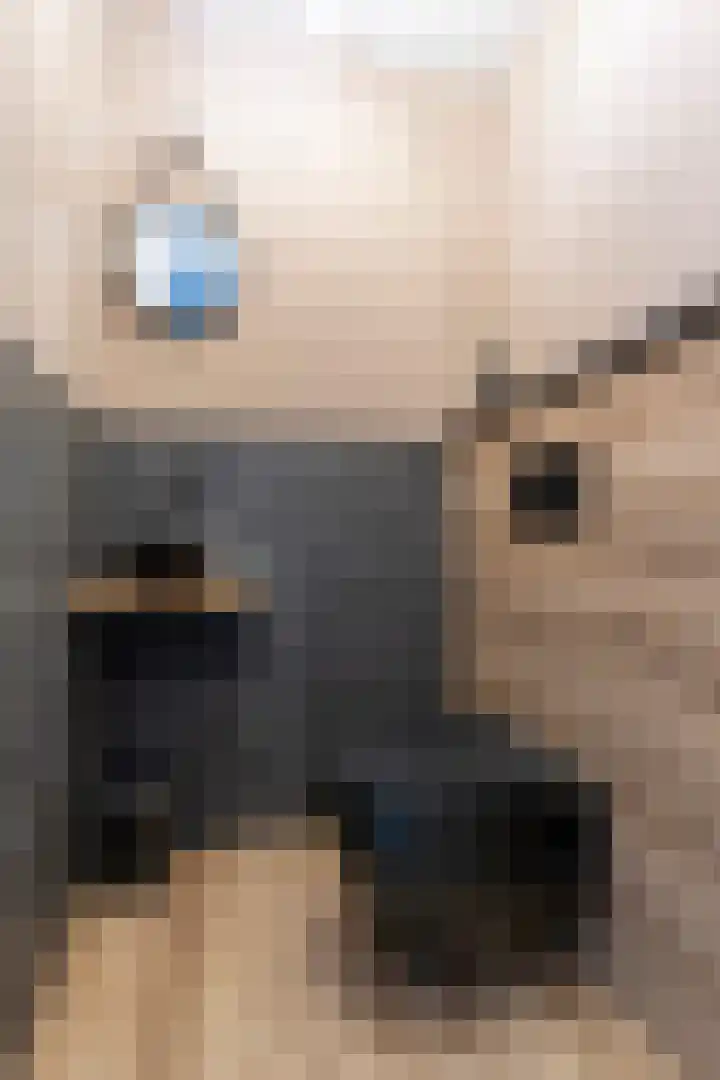 Wiericke 75 De Meern thumbnail 35