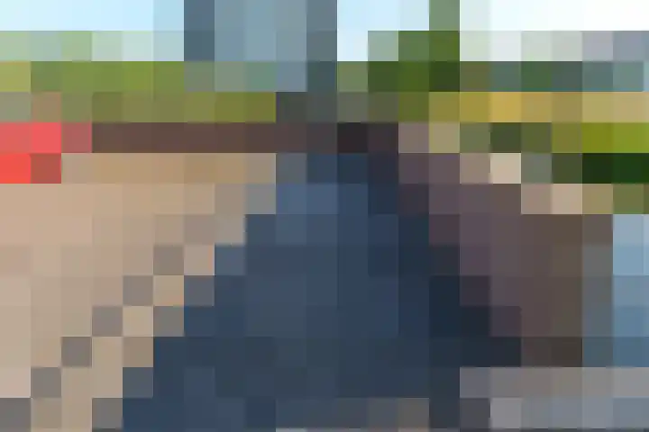 Wiericke 75 De Meern thumbnail 39