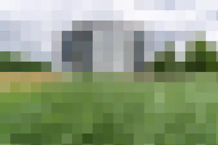 Wiericke 75 De Meern thumbnail 47