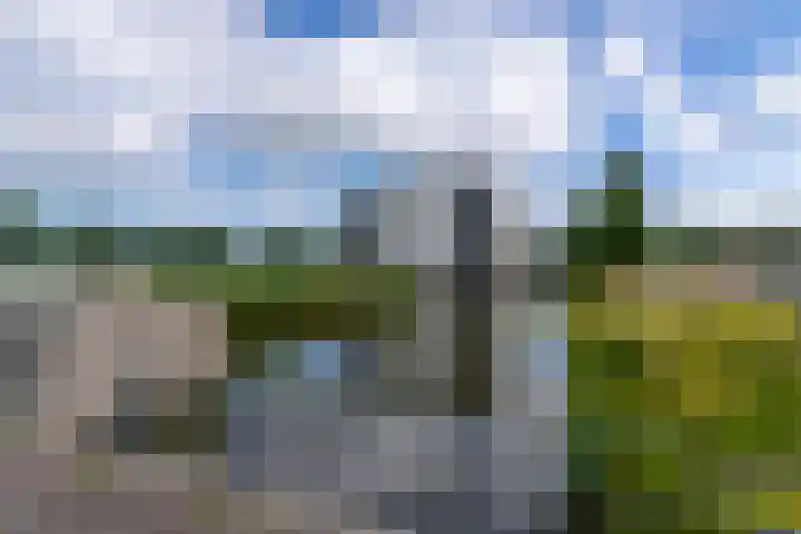 Wiericke 75 De Meern thumbnail 52
