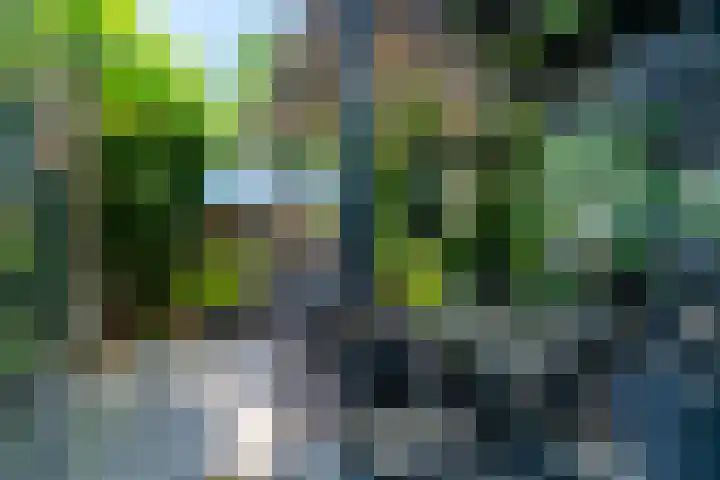 Wiericke 85 De Meern thumbnail 21