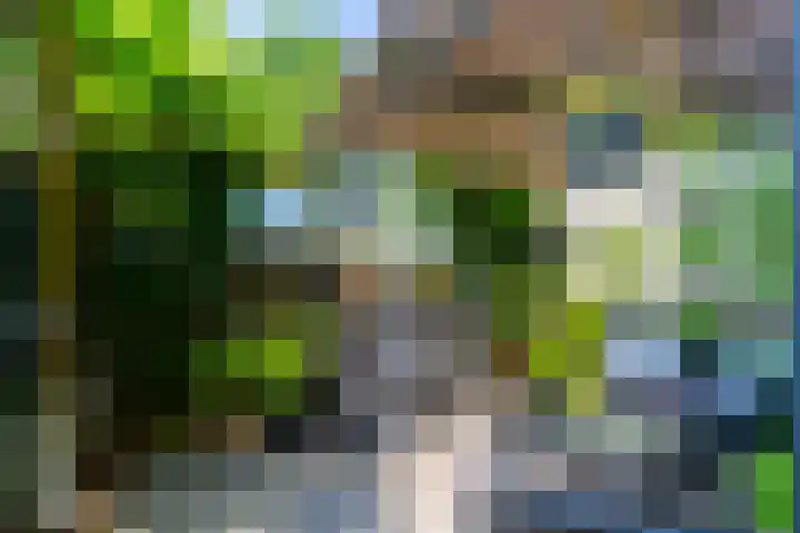 Wiericke 85 De Meern thumbnail 22