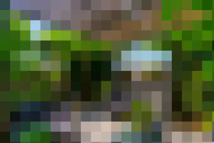 Wiericke 85 De Meern thumbnail 24