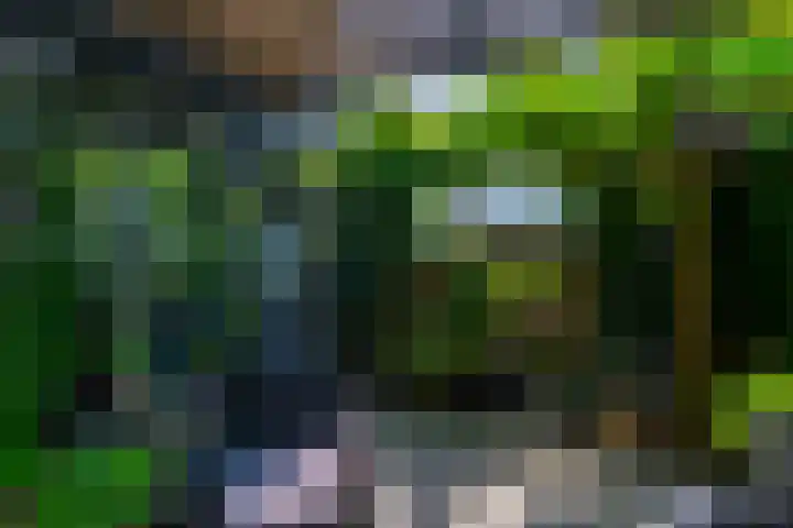Wiericke 85 De Meern thumbnail 25