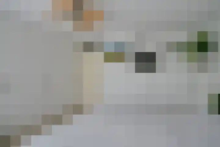 Wiericke 85 De Meern thumbnail 26