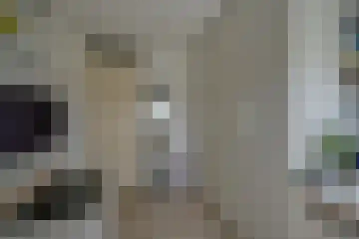 Wiericke 85 De Meern thumbnail 29
