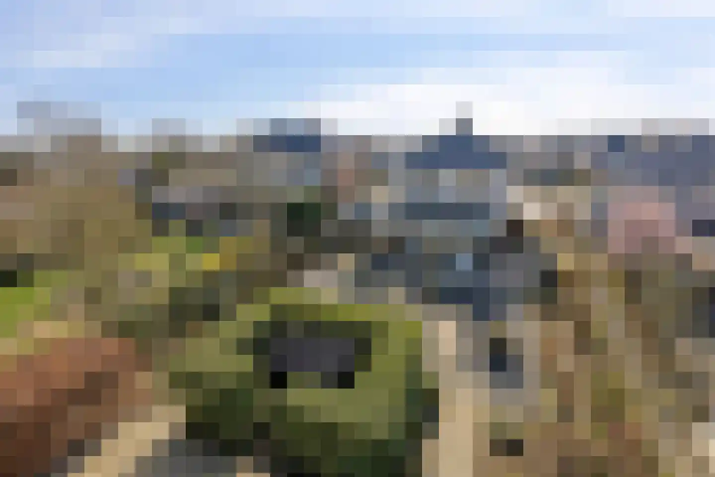 Wieringen 4 Heemskerk thumbnail 5
