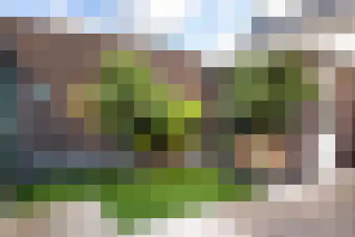 Wieringenlaan 54 Volendam thumbnail 44