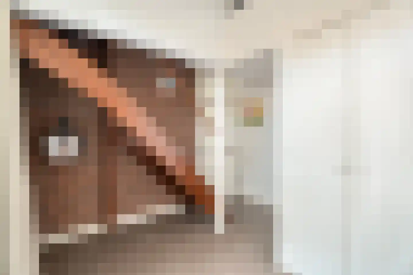 Wieringenmeen 30 Harderwijk thumbnail 22
