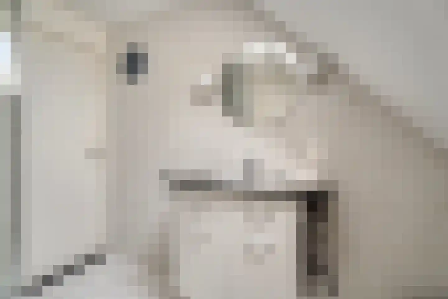 Wieringenmeen 30 Harderwijk thumbnail 27