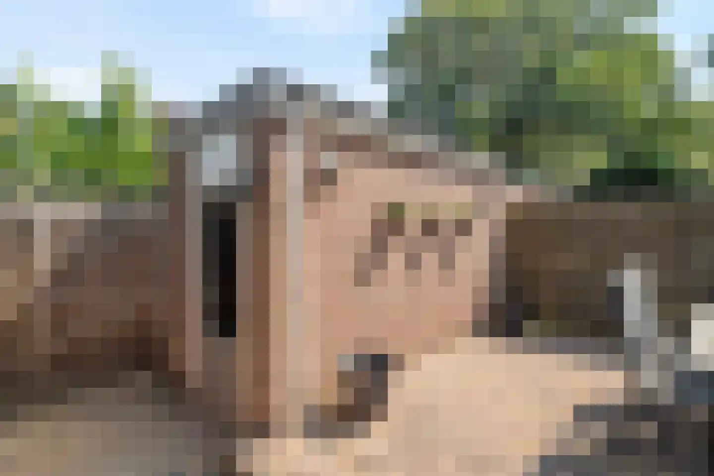 Wieringenmeen 30 Harderwijk thumbnail 38