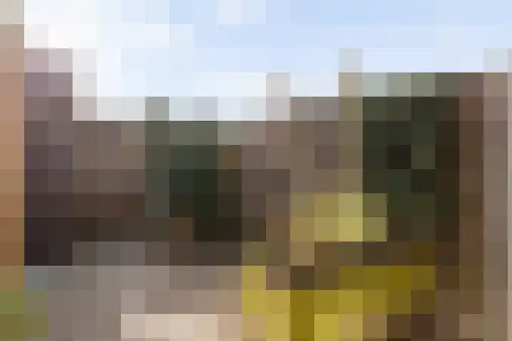 Wieringenpad 14 Amersfoort thumbnail 15
