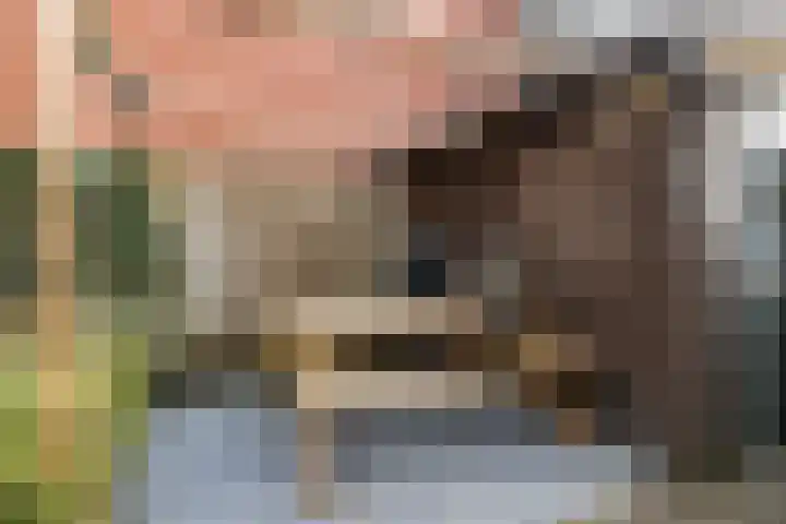 Wieringenpad 14 Amersfoort thumbnail 16