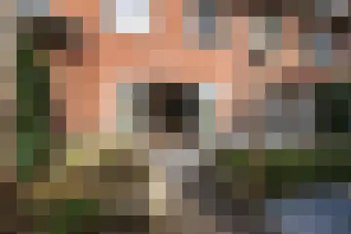 Wieringenpad 14 Amersfoort thumbnail 17