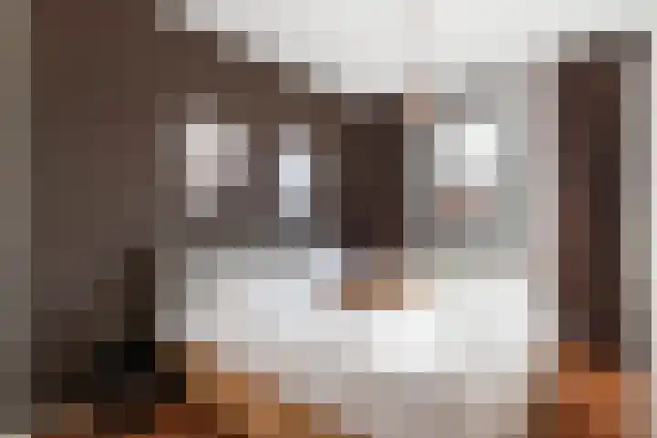 Wieringenpad 14 Amersfoort thumbnail 18