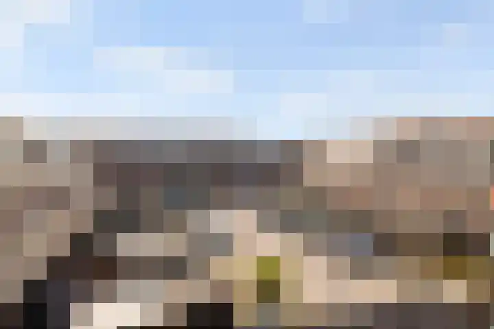 Wieringenpad 14 Amersfoort thumbnail 28