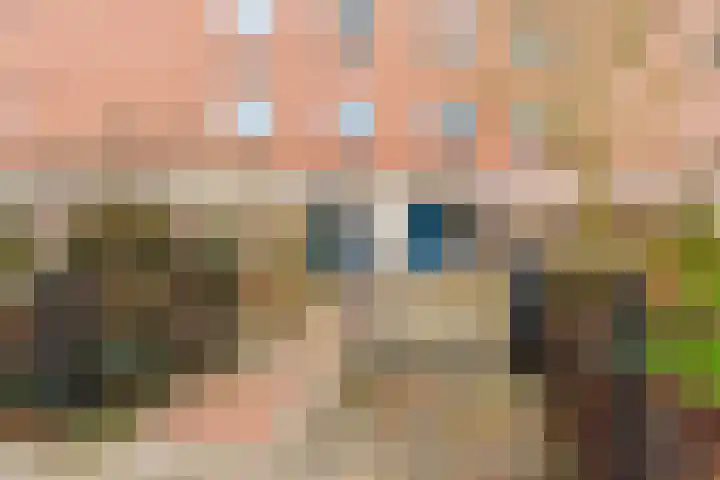 Wieringer Aak 10 Velserbroek thumbnail 10